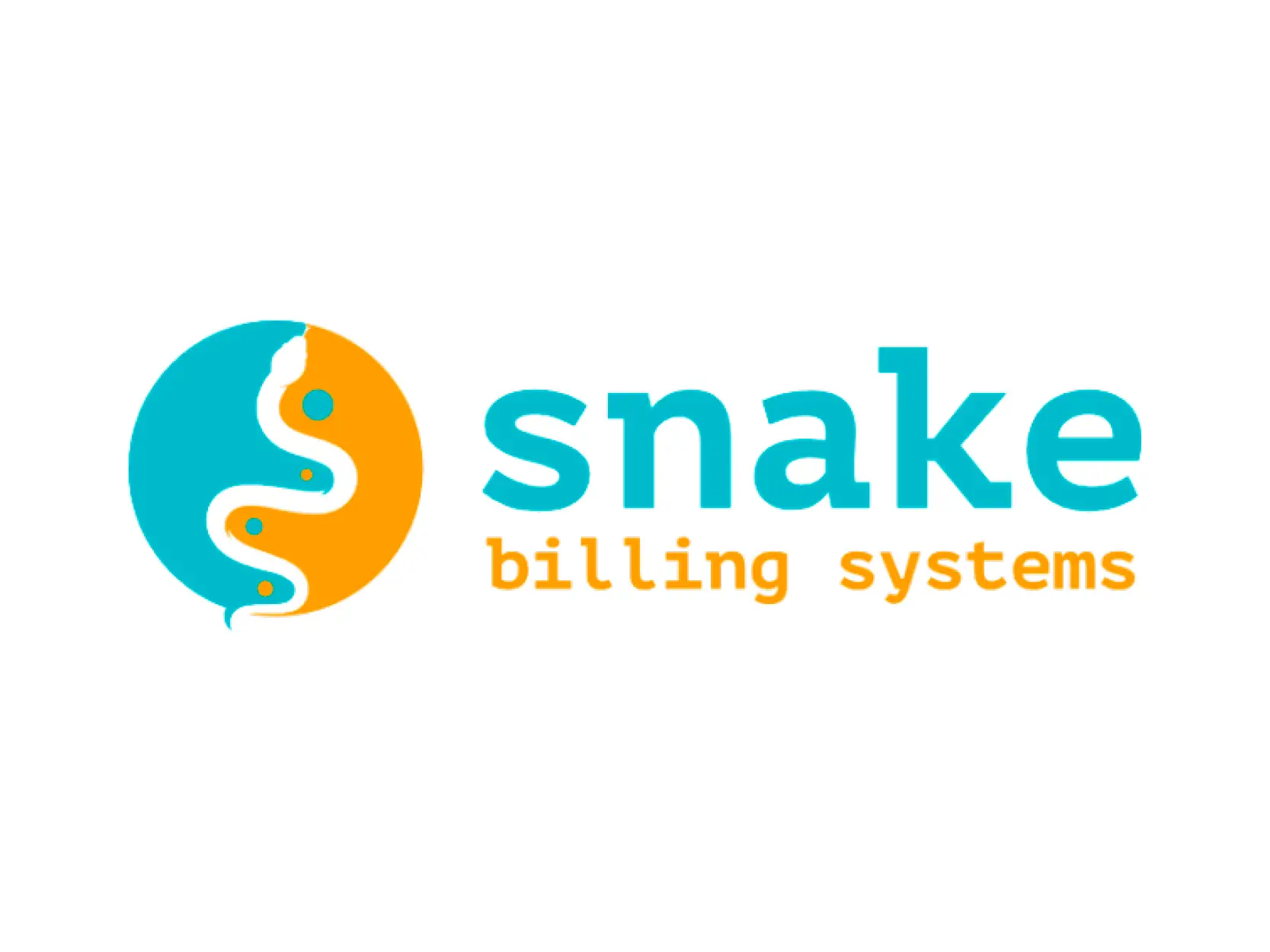 Snake Billing System - accounting business launched by an AKUK student